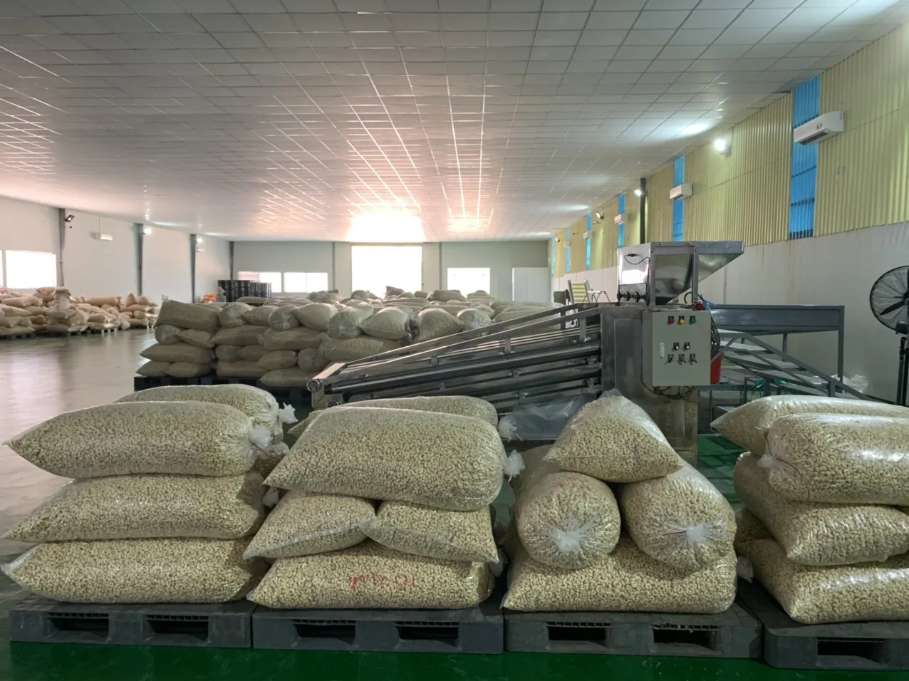 cashew milk and bakery Best Option Cashew nut kernels w240 w320 w450, High Quality Newest Crop 2022