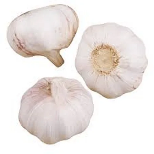 Hiigh Quality Healthy Fresh Garlic 100% Organic at Low Wholesale Price