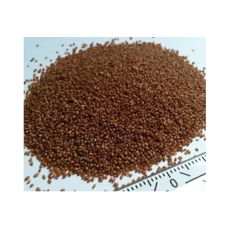 Gluten free Brown Teff grains / Bulk TEFF GRAIN