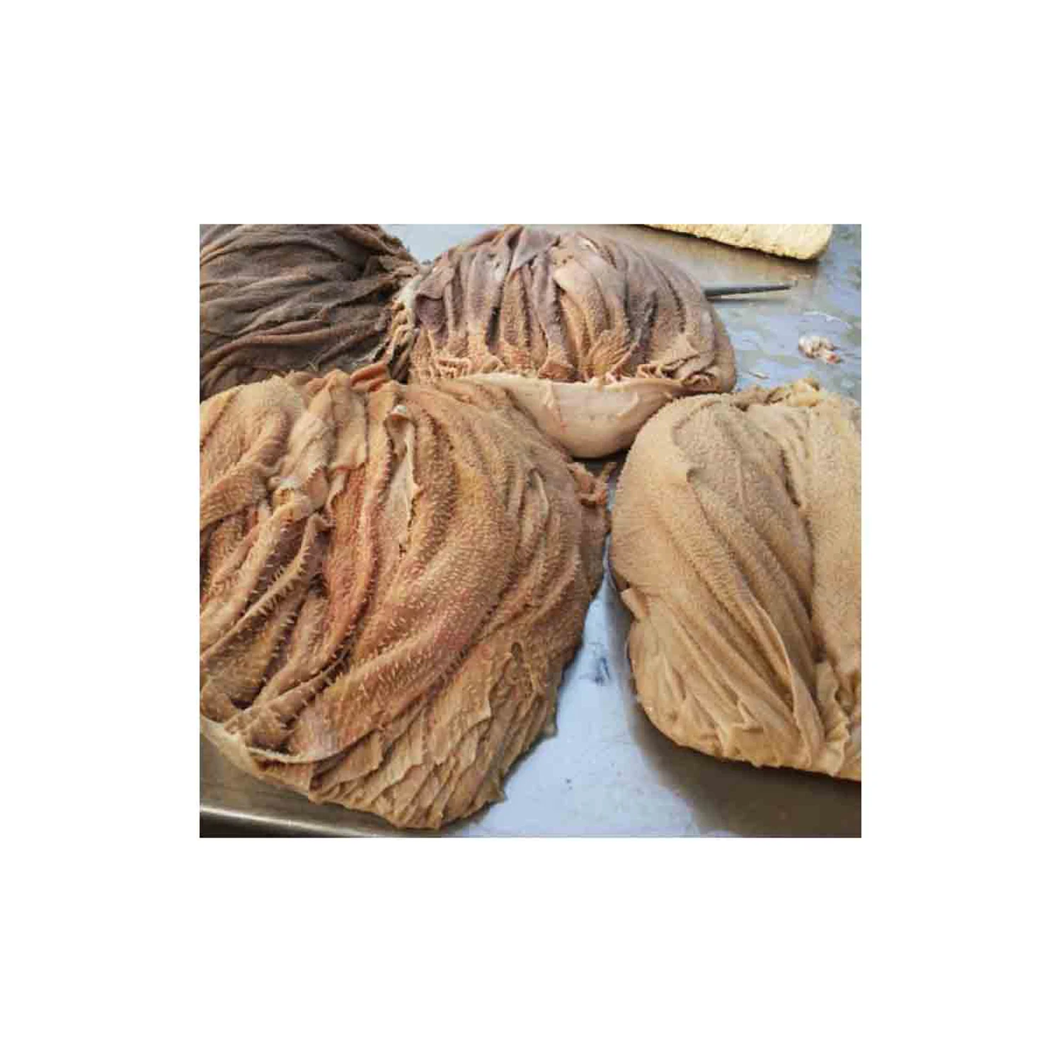 Salted & dried frozen & fresh omasum / beef meat omasum , High Quality Omasum / Omasum Suppliers from France