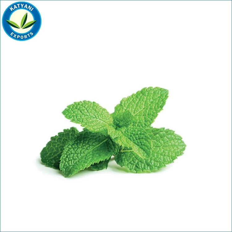 Private Label Manufacturer Peppermint Oil Bulk Wholesale 100% Pure Organic Cold Pressed Essential For Fragrance & Soap Making
