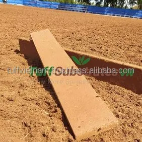 Design coconut husk ad  just table flower Strawberry melon and different Cucumber plant by 100% Organic from Producer In Vietnam