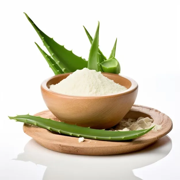 Premium Quality 100% Pure & Natural Aloe Vera Root Extract Powder at Best Price from India