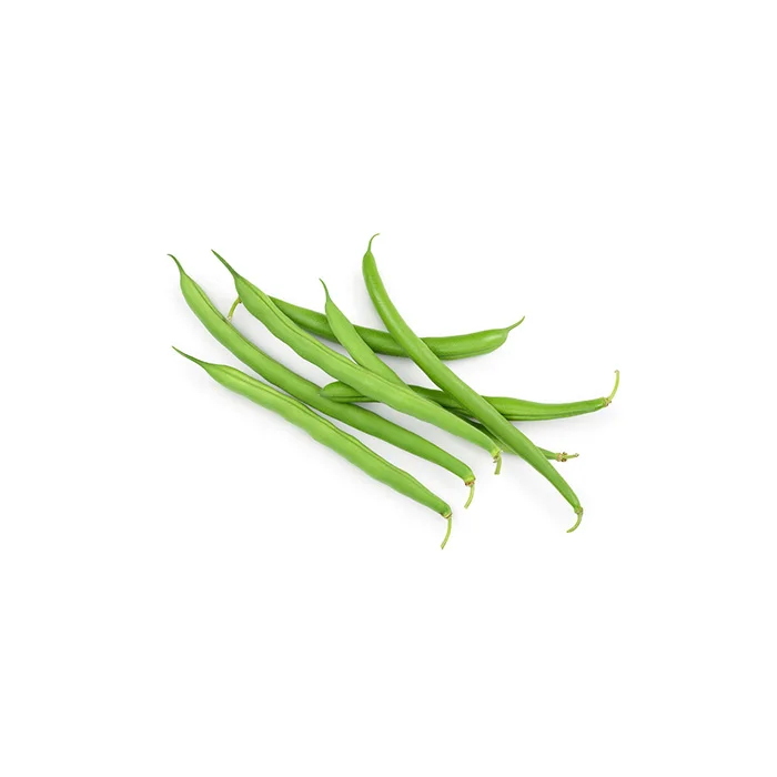 2023 Best Selling Tasty Freshness and Highs Sweetness French Green Bean Organics Malaysia Manufacturing