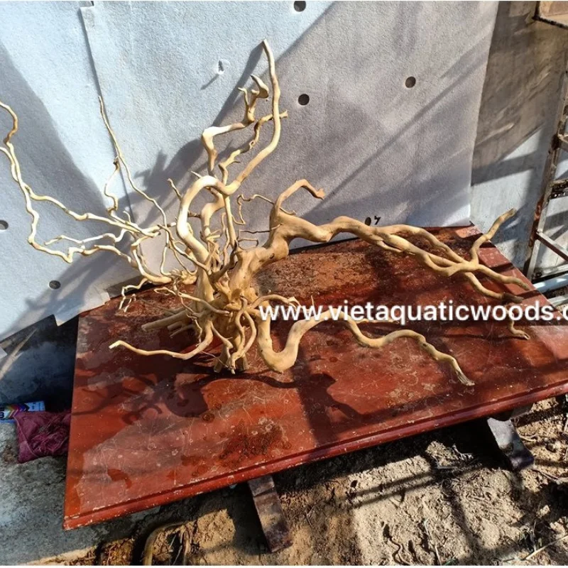 Hot Selling 2024 Natural Decor Roots Driftwood for Aquarium and Accessories with best price WhatsApp: +84 963 949 178