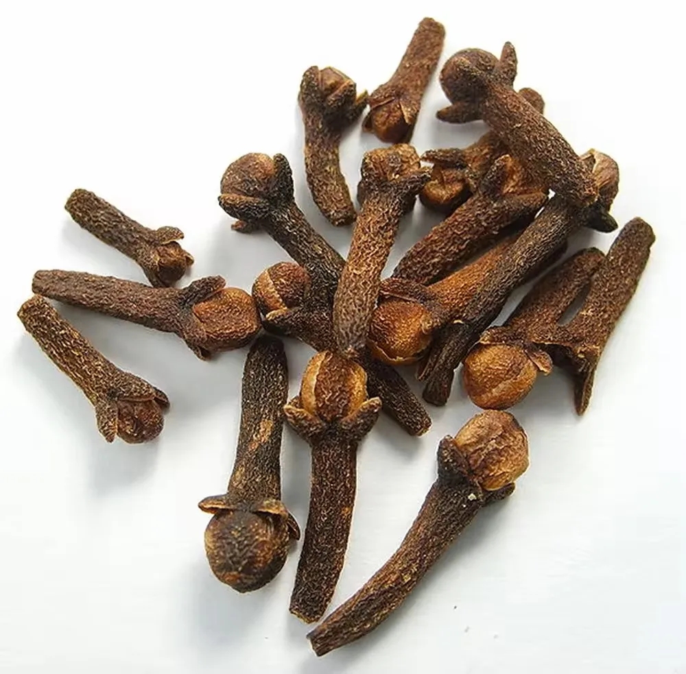 CLOVE5.jpg
