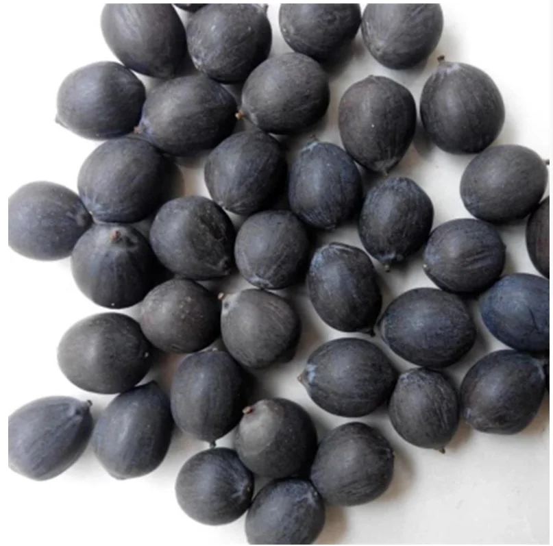 Семена цветка лотоса из Вьетнама