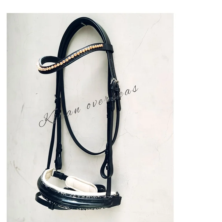 leather bridle