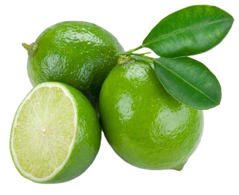 Wholesale Wonderland High Quality Fresh Lime Green Lemon Seedless Citrus Fruit From Vietnam Importers Retailers (+84983028718)