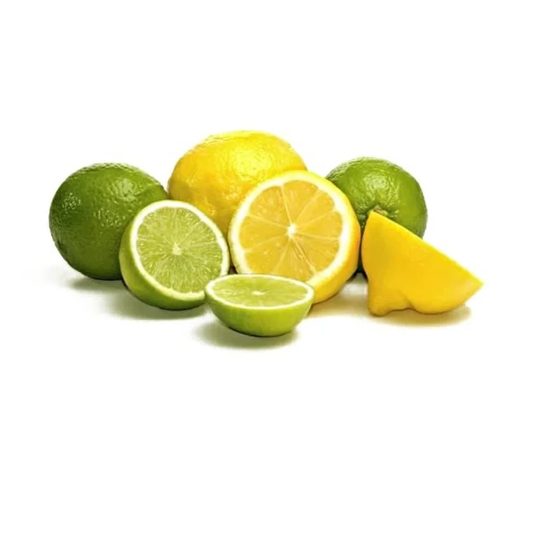 Best Quality Wholesale Factory Price Top Quality Fresh VIETNAMESE Green Lime/ Lemon wholesale cheapest price export USA,UK, EU