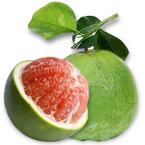 [Hot Sale 2022] 100% Organic Fresh Pomelo With High Quality Wholesale Good Price From Vietnam