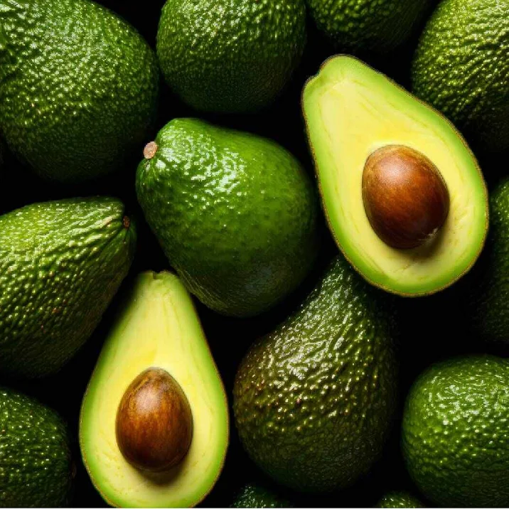 Best Quality Natural Fresh Avocado for Sale Organic Fresh Avocado Fruit at Wholesale Farm Price
