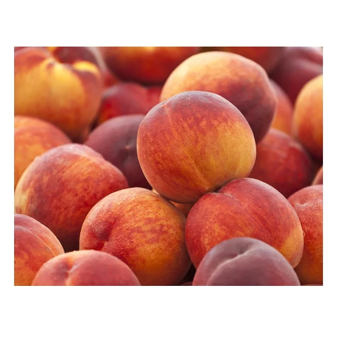 Wholesale Price Fresh Fruits Peaches Bulk Stock Available For Sale
