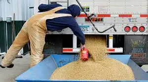 Top Grade Bulk Supply Soya beans Fresh Stock Wholesale Price High Quality