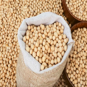 Best Quality Natural and Non- GMO Yellow Soybean Seeds / Soybean / Soya beans High QualitySouth Africa Origin