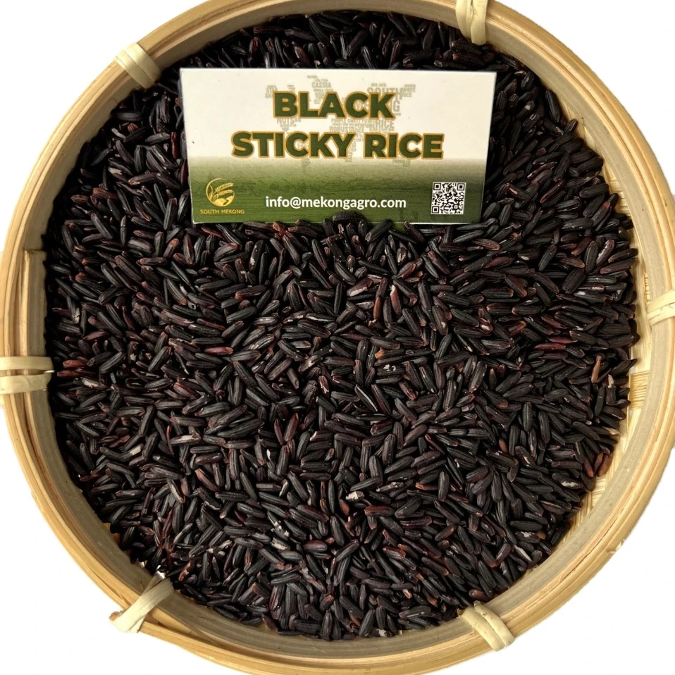 BLACK STICKY RICE new crop export by SOUTH MEKONG VIETNAM