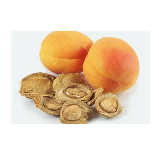 Высокое качество, низкая оптовая цена, необработанные органические абрикосовые орехи, для продажи