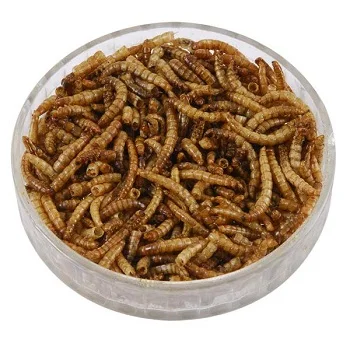 high-protein micro-dried mealworms for animal