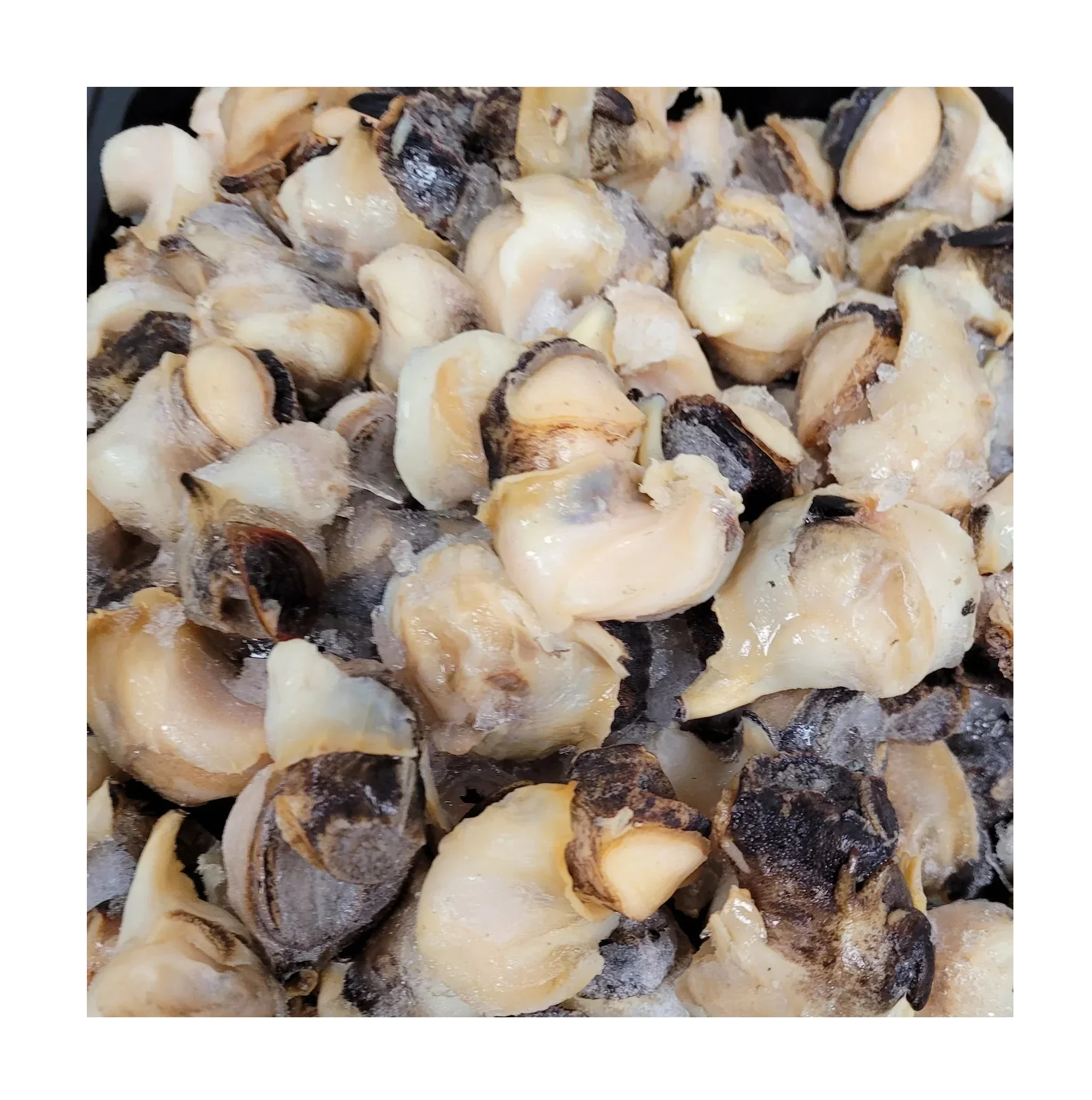 Замороженное мясо раковины, морепродукты, пищевой