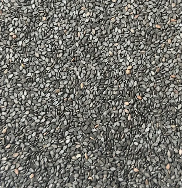 Quality Black Sesame Seed