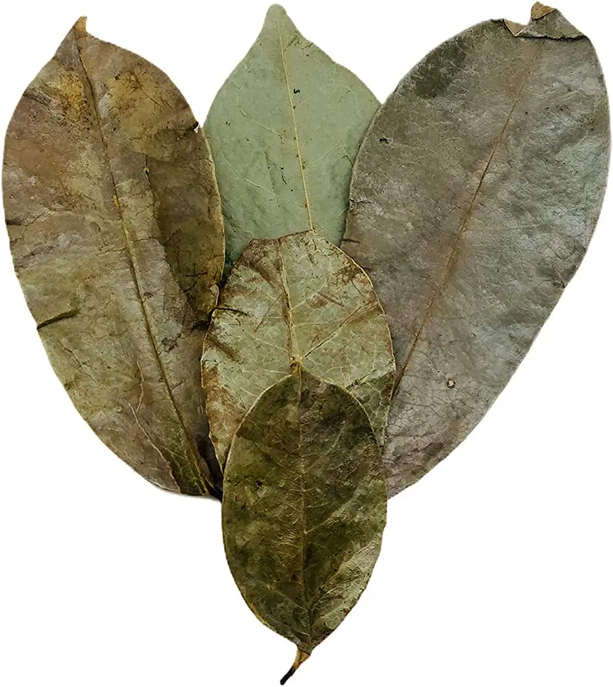 Высококачественные сушеные листья, лучше, чем ожидалось, имеют много неожиданных преимуществ. Интересный/Хана