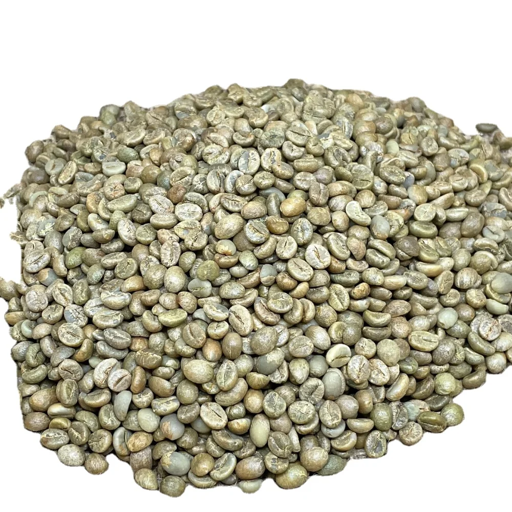 Robusta зеленый кофе в зернах вьетнамский Премиум сырые кофейные зерна мед процесс с 24 месяцами срок хранения