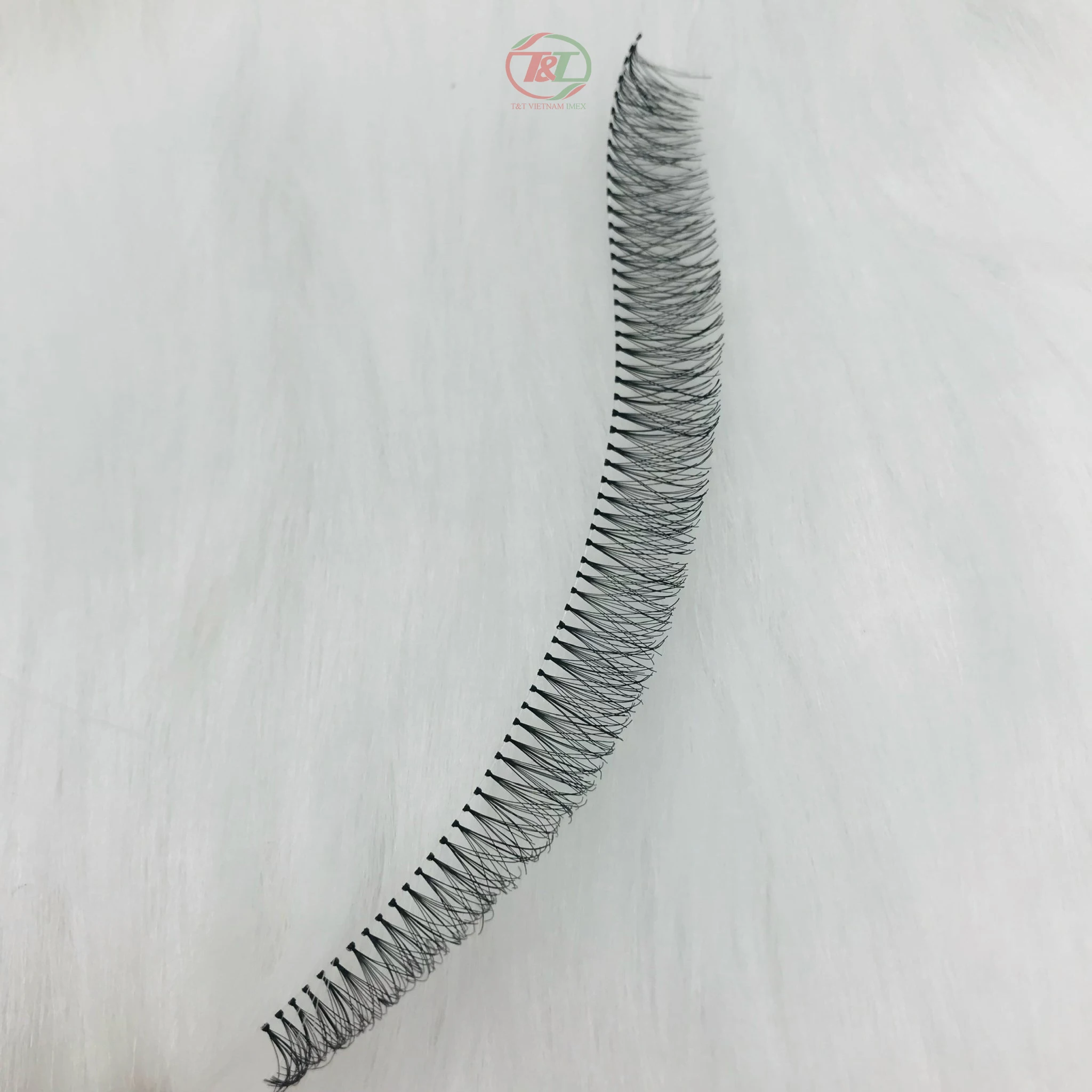 60 pcs/strand Vietnam wholesale premium quality false flare lashes Cluster Eyelash Extension with Knot D curly