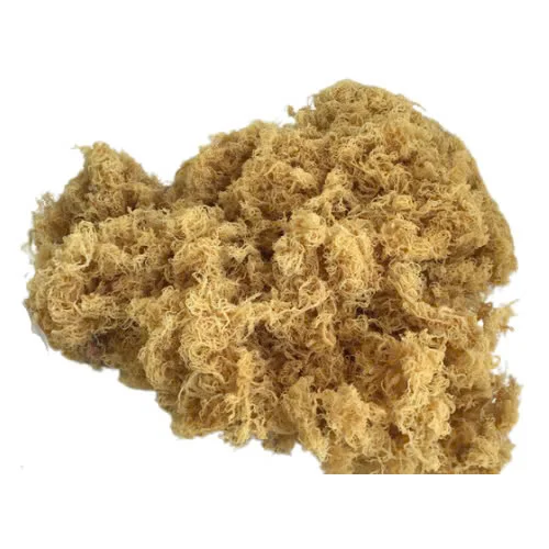 Нарезанные сушеные водоросли с высококачественными жареными ароматами и специями лучшие продажи из Вьетнама экспортируемые на зарубежный рынок по цене