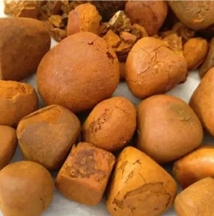 Natural Quality Ox Gallstones Cattle Gallstones Cow Gallstones Buy Cow Gall Stones