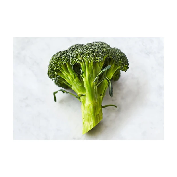 Good Quality Wholesale Fresh Broccoli Hot Sale High Quality Fresh Broccoli Factory Low Price Broccoli