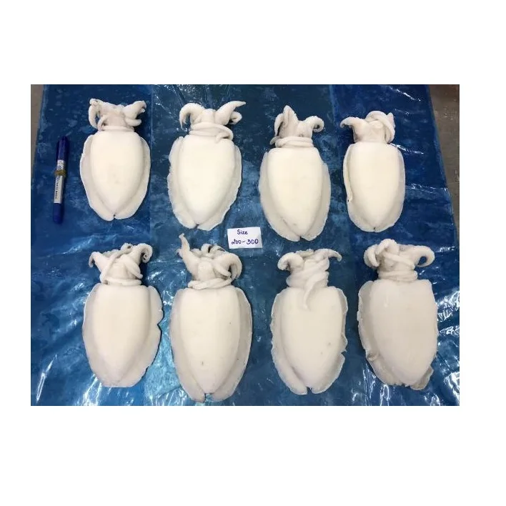 Прямой поставщик замороженных каракатиц целиком очищенных каракатиц по оптовой цене