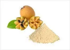 Export Use Superfood Hot Selling Best Quality  spray dried Chikoo fruit juice powder from IndianMade factory Buyers From India