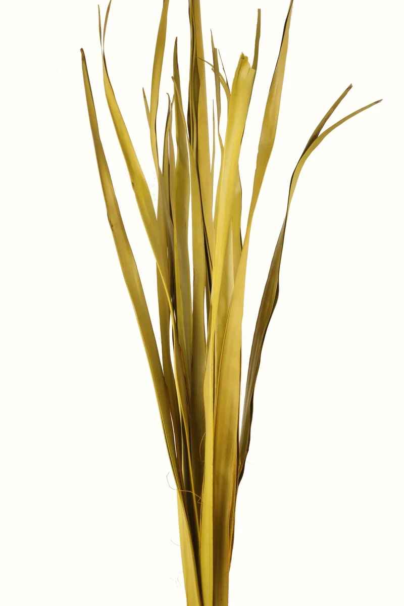 Decorative palm leaves for floor vase colored and dried arrangements for home and business decoration Floral Decor Faux Grass de