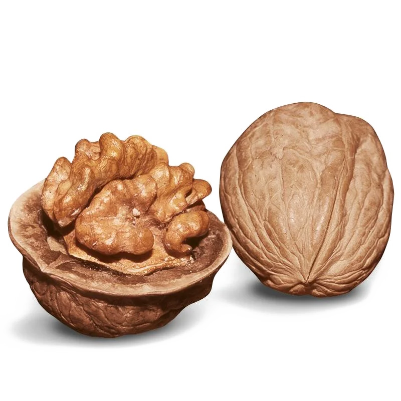 China cheap prices raw walnut shelled dry walnuts for sale