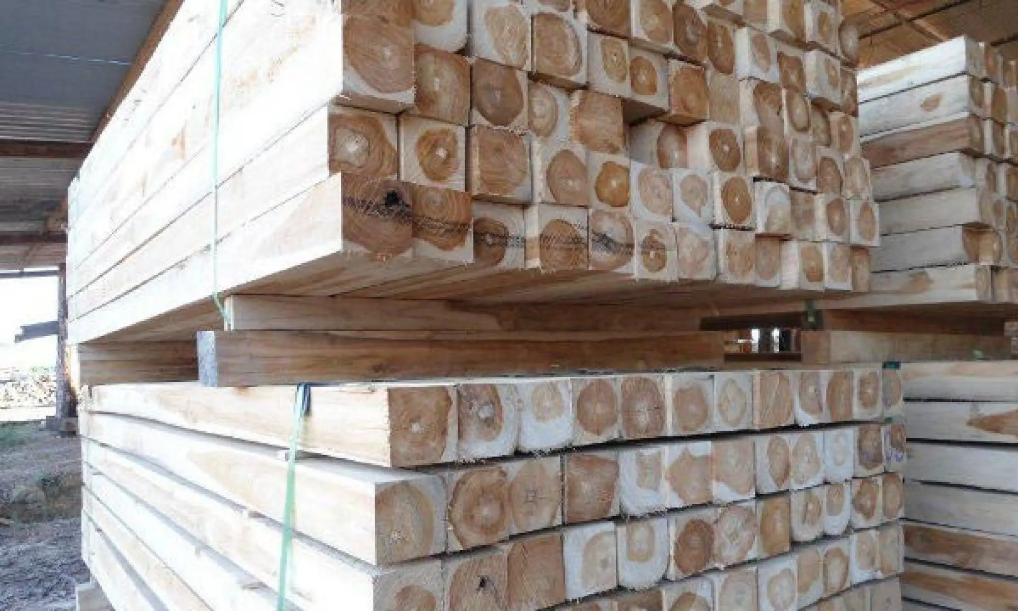 wholesale Prices Teak Wood Logs and Tropical Timber Logs
