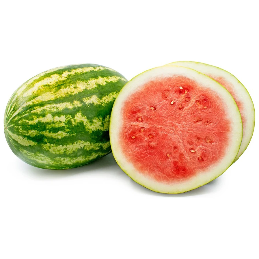 Origin Wholesaler of Good Quality Top Selling 100% Natural Delicious Taste Seedless Watermelon at Best Market Price