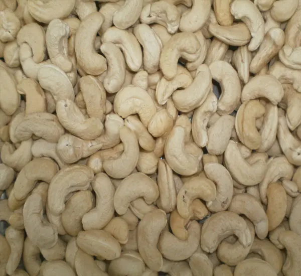 CASHEW NUTS ALL TYPE SP LP W180 W240 W320, NATURAL KERNEL WHOLESALE