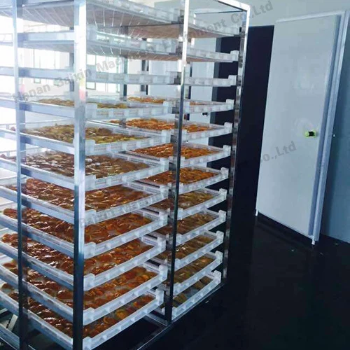 Industrial Food Fruit Dryer Oven Heat Pump Dehydrated Onion Drying Machine Garlic Drying Equipment