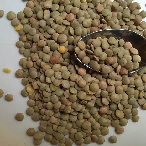 New Crops Red Lentil High Quality Organic Red Lentils in Bulk Max Gift OEM Style