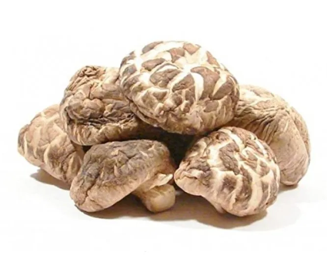 Origin China hot selling iqf food mushroom cultivation Shiitake Mushroom for Frozen shiitake