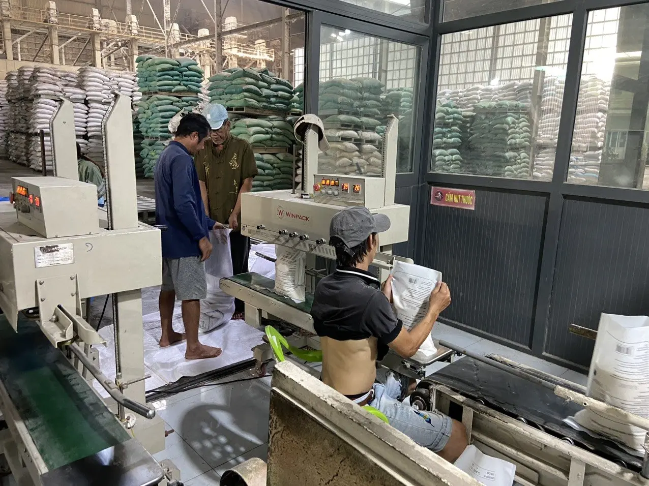 DRIED STANDARD CALROSE SOFT TEXTURE EXPORT SHORT TOP CAMOLINO RICE GRAIN SUPPLIER IN VIETNAM PRICE WHITE RICE JCC RICE FACTORY