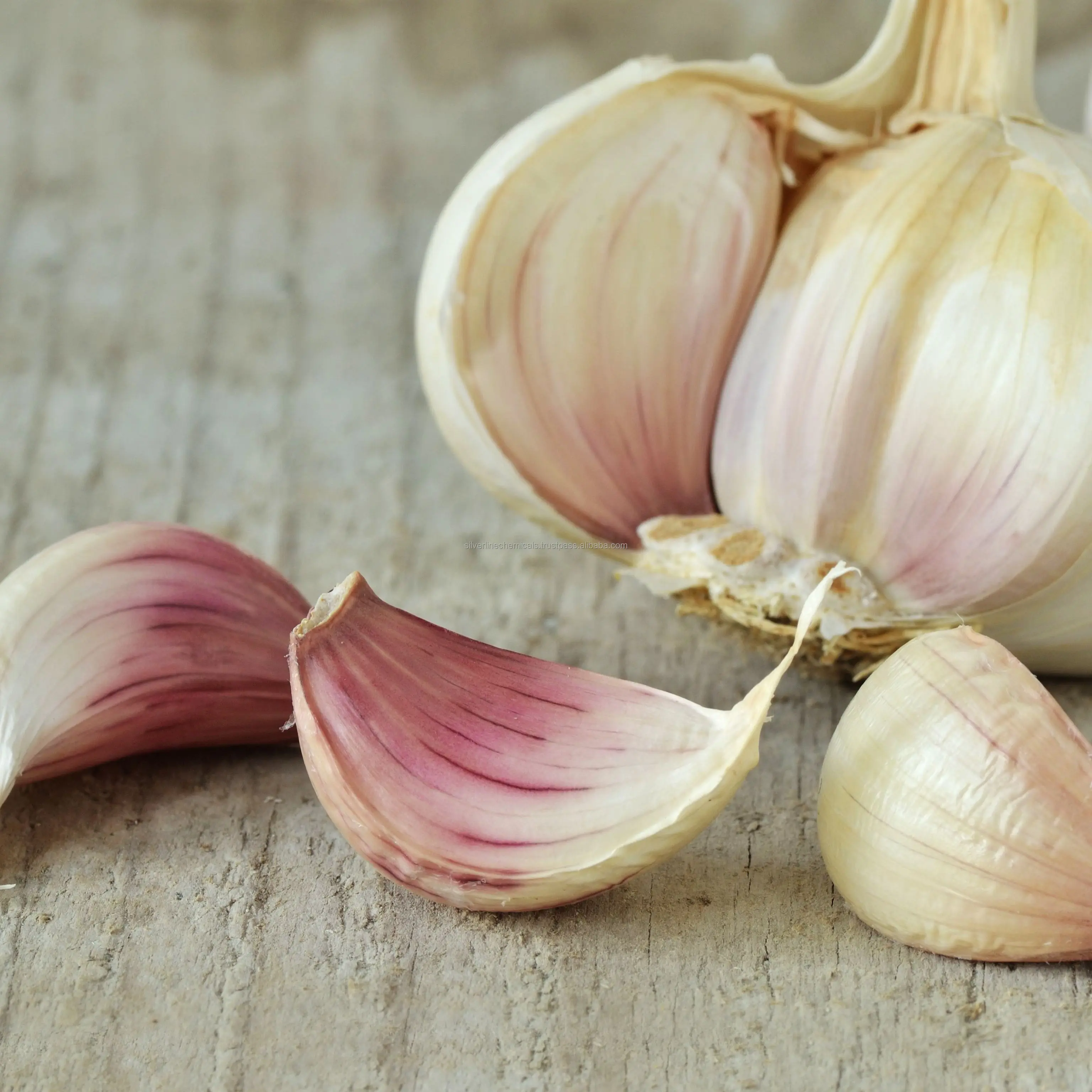 Wholesale Best Quality Essential Oil Garlic Oil Manufacturer