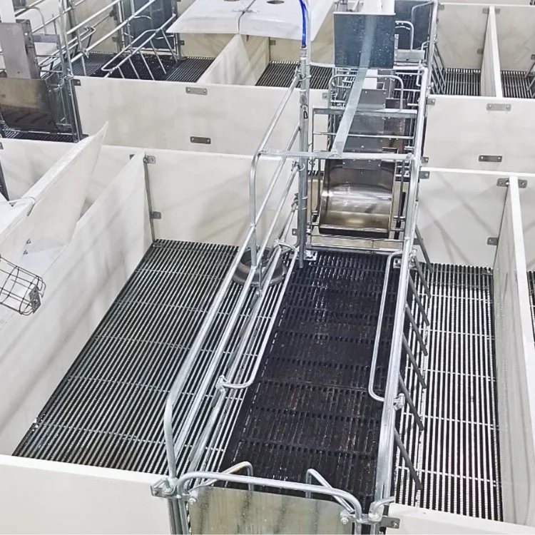 Farrowing crates pigs Stainless Steel Vietnam Manufacturer High Quality pig farrowing barn Comfortable for Dry Sows