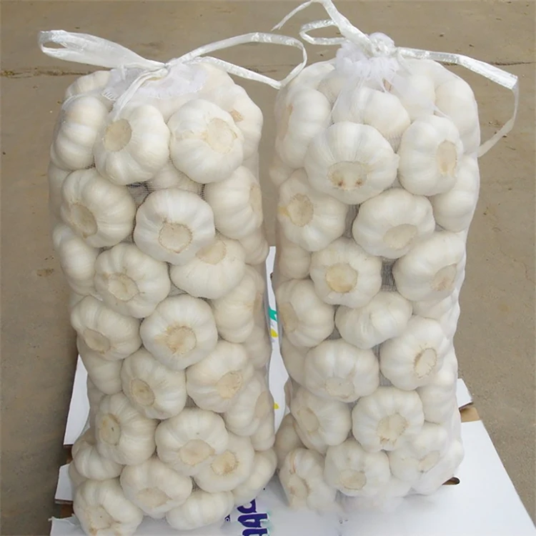 4.5cm 5.0cm 5.5cm 6.0cm Pure White Garlic / Fast delivery from Europe