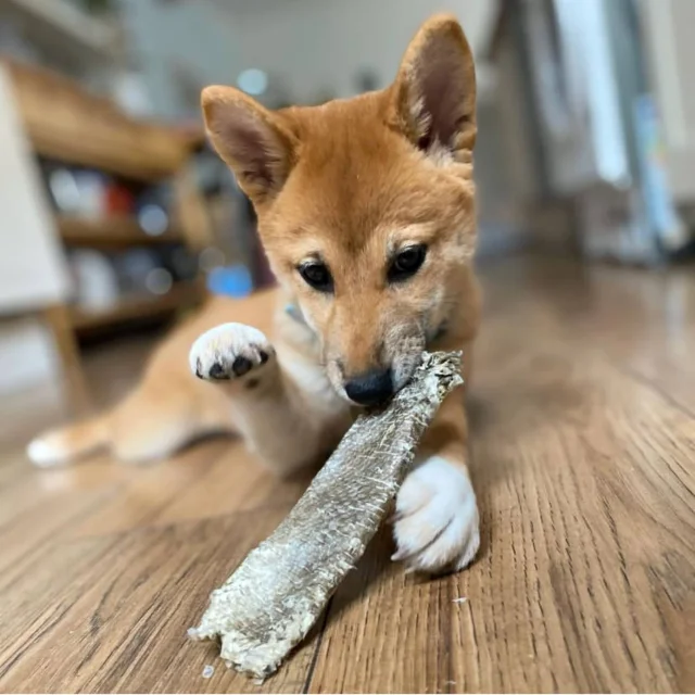 2024 Best Natural Fish Skin Chews Premium Basa Treats for Pets Dried Salmon with Salt Preserved Packaged in Bags