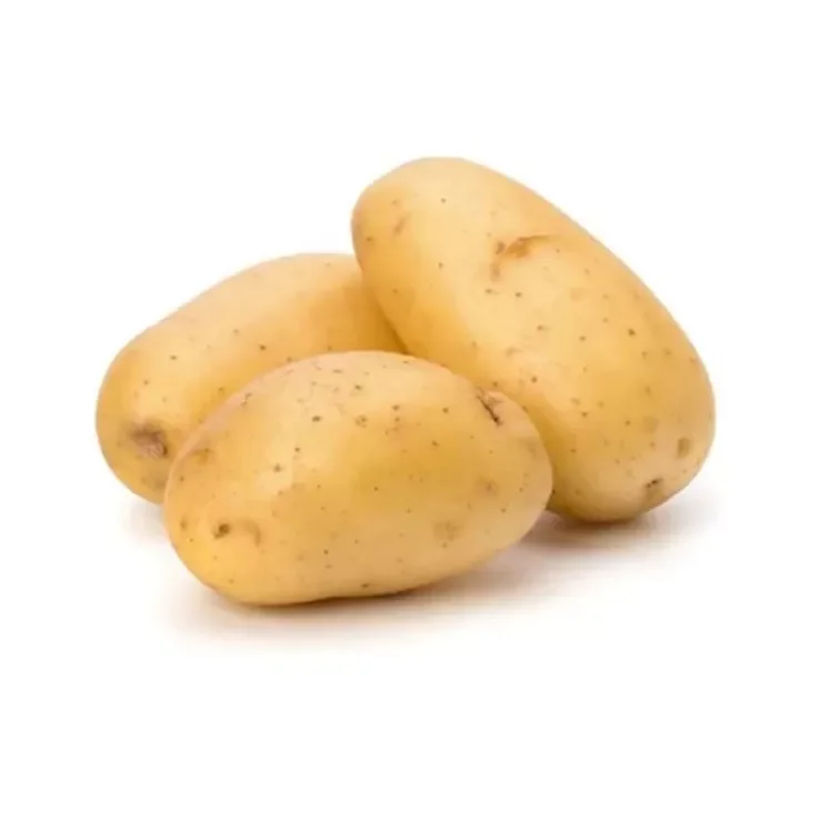 Fresh Potatoes 100% High Quality Export Oriented Low Price For Wholesale Price Fresh Potato From Bangladesh
