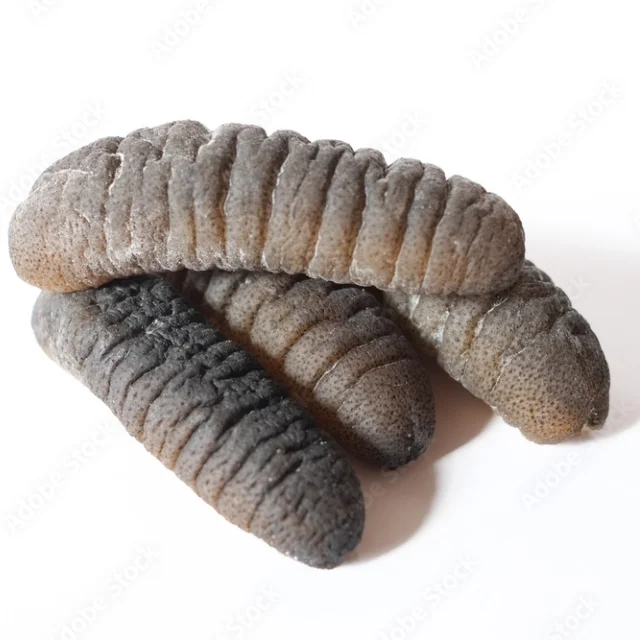 High Quality Dried and Frozen Bald Sea Cucumber, Natural Wholesaler Sea Cucumber