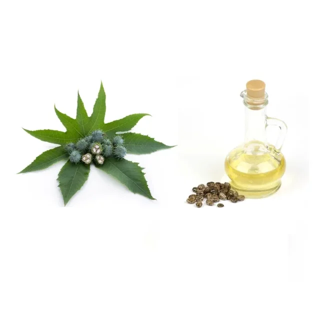 Manufacturer Wholesale 100% natural Cold pressed Virgin Eyelash growth serum 100% organic castor oil private label eyelash enhan