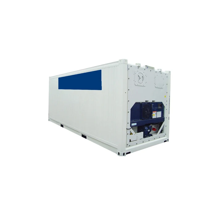 Freezing Chambers Cold Room Storage Freezing Chamber Freezer Compressor Rooms Refrigerator Containers For Meat