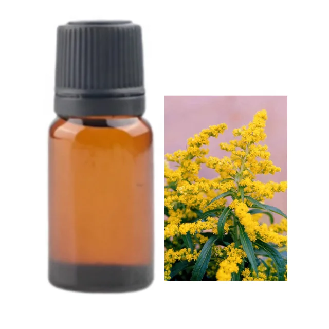 Buy Bulk Wholesale price GOLDENROD ESSENTIAL OIL from india largest manufacture kanha nature oils
